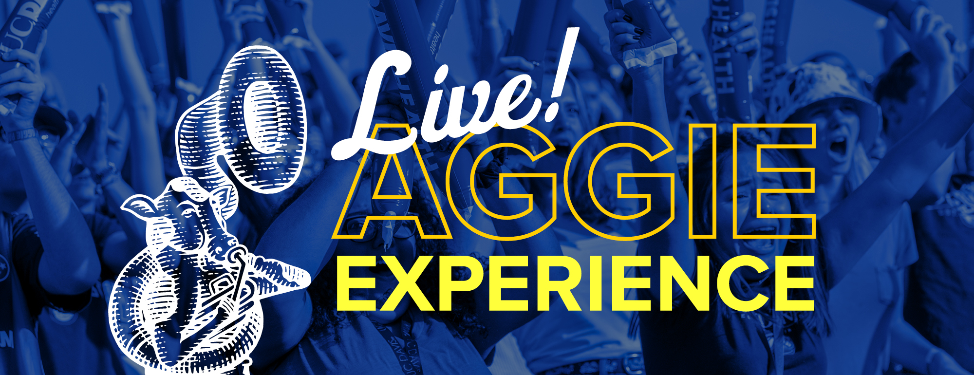 Aggie Experience Live MENASA